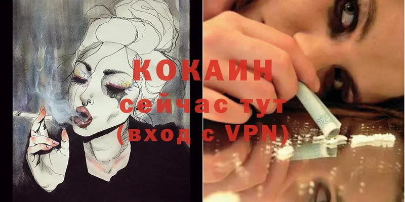 Cocaine Fish Scale  Кисловодск 